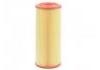Air Filter:9390907
